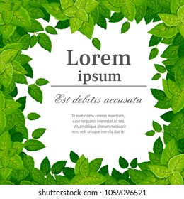 Pattern of green leaves. Various shapes of leaves of trees and plants. Floral, foliage design elements. Vector illustration with place for your text. Website page and mobile app design.