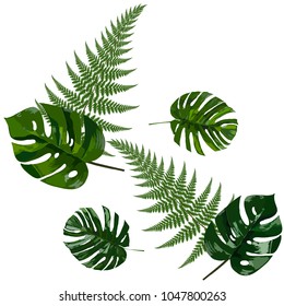 pattern of green leaves vector
