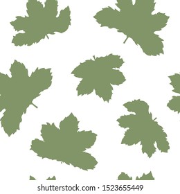 Pattern green maples leaves autumn
