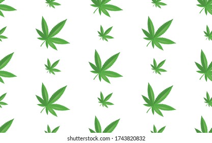 Patrón con marihuana verde, cáñamo, hoja de cannabis, aislado en fondo blanco