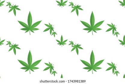 Patrón con marihuana verde, cáñamo, hoja de cannabis, aislado en fondo blanco