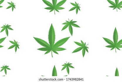 Pattern with green marijuana, hemp, cannabis leaf, isolated on white background