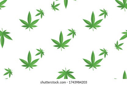 Pattern with green marijuana, hemp, cannabis leaf, isolated on white background