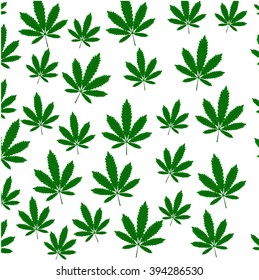 Pattern with green marijuana, hemp, cannabis leaf, isolated on white background