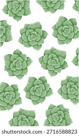 Un patrón con suculentas verdes. Patrón de Naturaleza