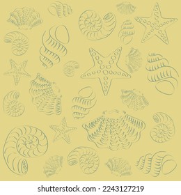 Pattern with hand drawing sea creatures shells and starfish in outline style vector
