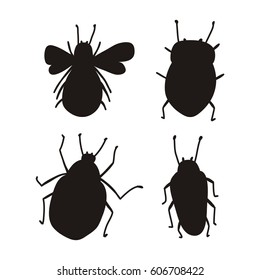 Pattern with hand drawn exotic beetles