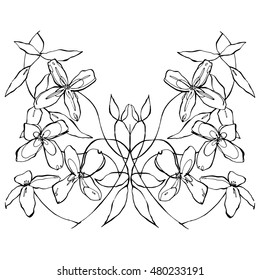 Pattern. Hand drawn graphic flowers on white background. Black and white vector illustration.