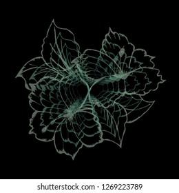 pattern of hand drawn hibiscus flower on black background