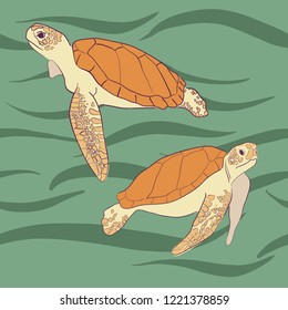 Pattern with hand drawn ocean turtles. Sea wallpaper. Vector illustration. Cartoon underwater elements for your sea design.