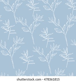 Pattern with hand drawn rosemary plant. Green leaves with herbs for cooking and health care. Vector stock Illustration. Dry herbst. 