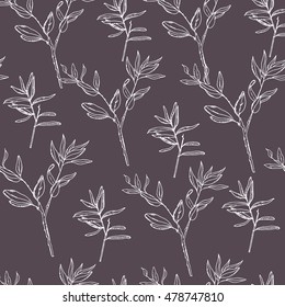 Pattern with hand drawn rosemary plant. White leaves and herbs for cooking and health care on dark background. Vector stock Illustration. Dry herbs. 