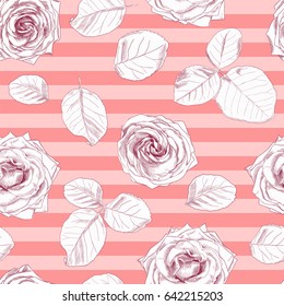 A pattern of hand drawn roses on a striped pink background. Vector illustration.