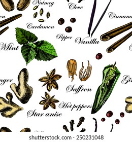 Pattern of hand drawn spices. Illustrations. Vector.