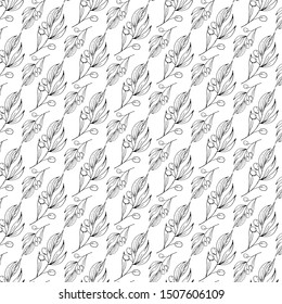 pattern Hand drawn vector olive branch. White background. Isolated. 
