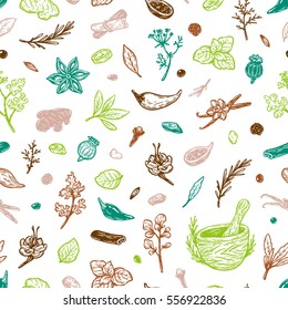Pattern with hand drawn vector spices and herbs. Medicinal, cosmetic, culinary plants. Seeds, branches, flowers and leaves. Different types of condiment. 