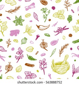 Pattern with hand drawn vector spices and herbs. Medicinal, cosmetic, culinary plants. Seeds, branches, flowers and leaves. Different types of condiment. 