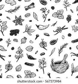 Pattern with hand drawn vector spices and herbs. Medicinal, cosmetic, culinary plants. Seeds, branches, flowers and leaves. Different types of condiment. 