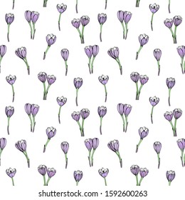 The pattern has an ornament with small flowers. Lilac crocuses are drawn vector on a white background. Suitable for fabric wrap.