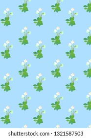 pattern with Hellebore Christmas Rose in snow in garden. Helleborus Flowers. White yellow flowers with green leaves foliage. Vector design illustration. 