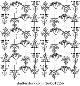 patrón con hierbas, flores y hojas delicadas de fondo blanco del contorno floral negro, ilustración vectorial