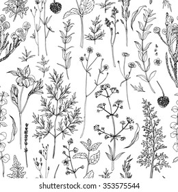 Pattern herbs and flowers painted black line. Space for text. Vector drawing. 