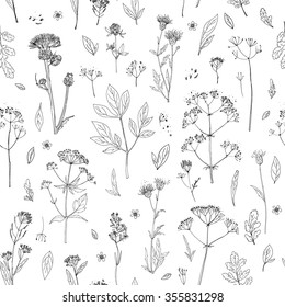 Pattern herbs and flowers painted black line. Space for text. Vector drawing.