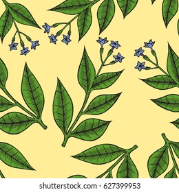 Pattern herbs and flowers painted black line. Space for text. Vector drawing.