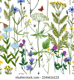 Pattern herbs and flowers painted color line. Vector drawing. Wild herbs. Wildflower