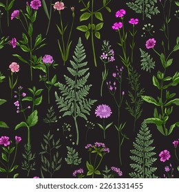 Pattern herbs and flowers painted color line. Vector drawing. Wild herbs. Wildflower