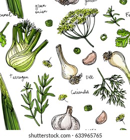 Pattern Herbs. Spices. Herb drawn black lines on a white background. Vector illustration. Fennel, dill, coriander, tarragon, green onion, garlic