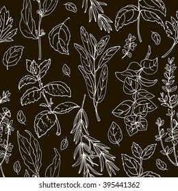 Pattern herbs. Spices. Italian herb drawn black lines on a white background. Vector illustration. Basil, Parsley, Rosemary, Sage, Bay, Thyme, Oregano, Mint