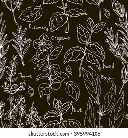 Pattern herbs. Spices. Italian herb drawn black lines on a white background. Vector illustration. Basil, Parsley, Rosemary, Sage, Bay, Thyme, Oregano, Mint