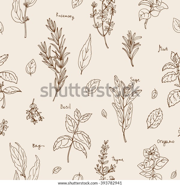 Pattern Herbs Spices Italian Herb Drawn Stock Vector (Royalty Free ...