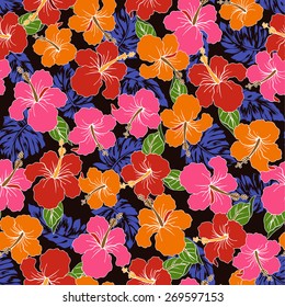 pattern of Hibiscus