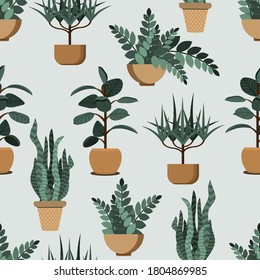 Pattern of house indoor plants, potted plants collection on green background.  