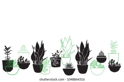 Pattern with house plants. Background with flowerpots. Vector illustration.