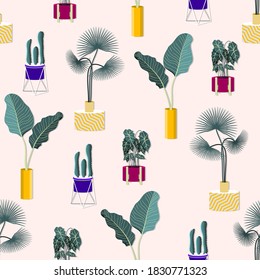 Pattern of houseplants. Collection of indoor plants in pots. vector illustration.