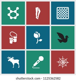Pattern icon. collection of 9 pattern filled icons such as moose, tights, chess board, microphone, spring rotate, spider web. editable pattern icons for web and mobile.
