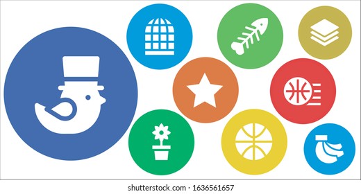 pattern icon set. 9 filled pattern icons. Included Saint Patrick, Bird cage, Fishbone, Flower, Basketball, Star, Layers, Bananas icons