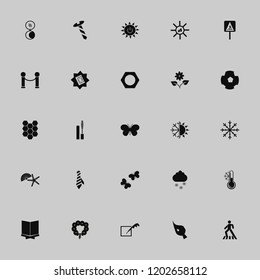 pattern icon. pattern vector icons set shell starfish, feather, tie and solar power