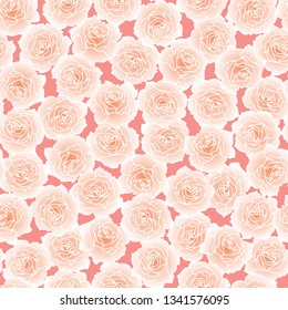 Pattern illustration of a beautiful rose
