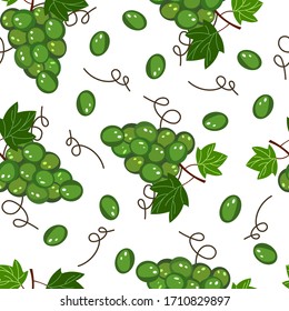 Pattern  illustration green grapes on white backdrop. Sweet fruit. Vector decorative background. 