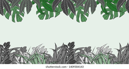 Pattern illustration of green and gray tropical leaves, monstera leaves, palm leaves and grass on a greenish background