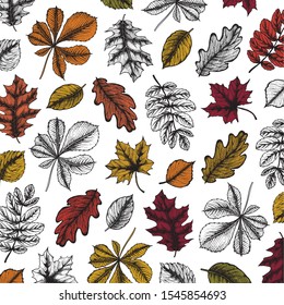 Pattern illustration in hand drawn style with leaves. Autumn design. For design textiles, fabric, packaging, paper, surface decoration, background.