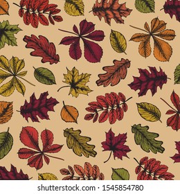 Pattern illustration in hand drawn style with leaves. Autumn design. For design textiles, fabric, packaging, paper, surface decoration, background.