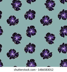 Pattern illustration of petunia flowers. Beautiful background