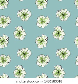 Pattern illustration of petunia flowers. Beautiful background