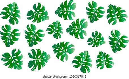 Pattern illustration of tropical leaves