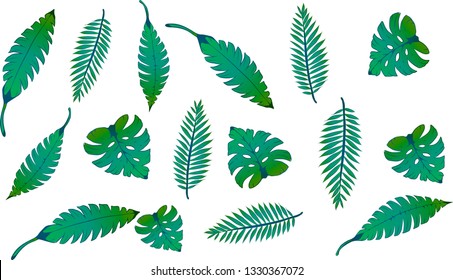 Pattern illustration of tropical leaves